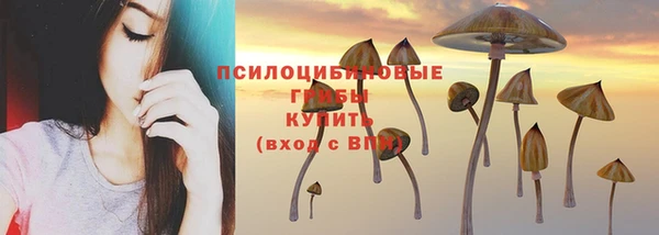 прущая мука Дмитровск