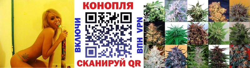 Каннабис гибрид  Невель 